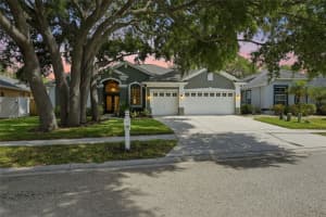 1725 River Watch Blvd, TARPON SPRINGS 1725 River Watch Blvd, TARPON SPRINGS