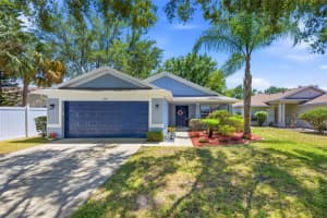 11013 Laurel Brook Ct, RIVERVIEW