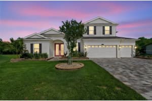 8768 Birchleaf Ct, LAND O LAKES