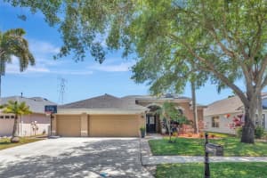 12012 Northumberland Dr, TAMPA