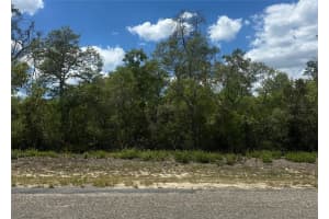 8036 N Wayside Ave, DUNNELLON