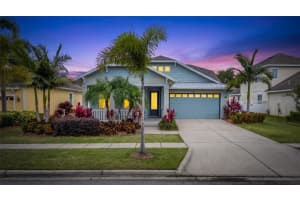 513 Manns Harbor Dr, APOLLO BEACH