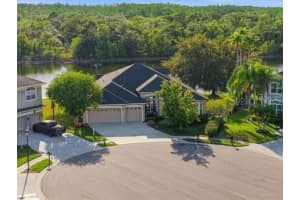 6113 Cognac Cir, LUTZ