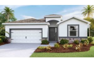 17484 Acorn Drop Rd, LAND O LAKES