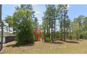 532 W Glenhaven Dr, CITRUS SPRINGS