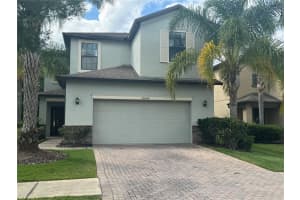20044 Date Palm Way, TAMPA