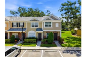 12367 Berkeley Square Dr, TAMPA