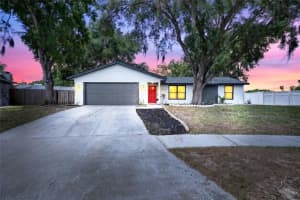 1513 Piney Branch Cir, VALRICO