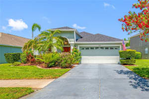 19254 Fishermans Bend Dr, LUTZ