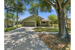 4528 Wild Plum Ln, LUTZ 4528 Wild Plum Ln, LUTZ