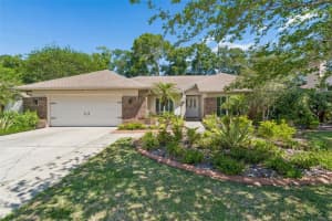3319 Cheviot Dr, TAMPA 3319 Cheviot Dr, TAMPA