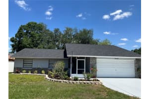 15604 Timberline Dr, TAMPA