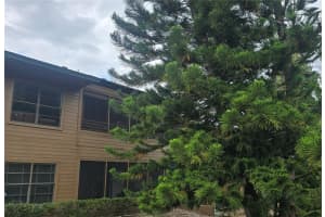 406 Lennox Rd W, PALM HARBOR