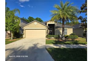 11510 Peru Springs Pl, RIVERVIEW