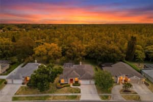 18543 Bittern Ave, LUTZ