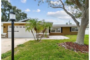 10931 Hammock Dr, LARGO 10931 Hammock Dr, LARGO