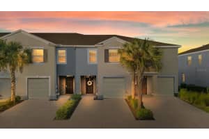 8965 Indigo Trail Loop, RIVERVIEW