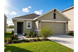16511 Mosaic Oar Dr, WIMAUMA