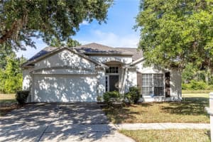 29841 Morningmist Dr, WESLEY CHAPEL