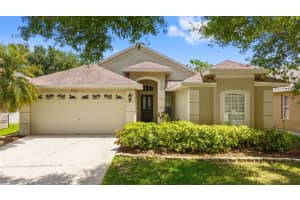 4508 New Dawn Ct, LUTZ
