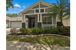 4910 Sky Blue Dr, LUTZ