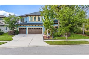 31976 Watoga Loop, WESLEY CHAPEL