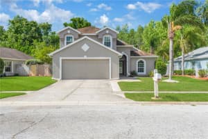 1211 Timber Trace Dr, WESLEY CHAPEL 1211 Timber Trace Dr, WESLEY CHAPEL