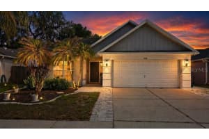 1208 Tiger Wood Ct, VALRICO