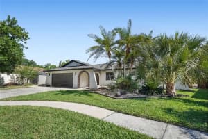 2370 Robyn Ct, DUNEDIN 2370 Robyn Ct, DUNEDIN