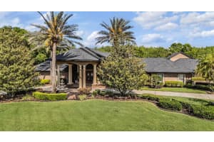18707 Pepper Pike, LUTZ