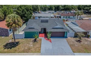 7203 Battenwood Ct, TAMPA 7203 Battenwood Ct, TAMPA