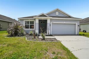 14310 Alistar Manor Dr, WIMAUMA