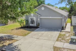 910 Brenton Leaf Dr, RUSKIN