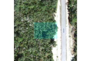 1238 Baltic Dr, KISSIMMEE 1238 Baltic Dr, KISSIMMEE