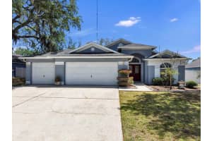 10725 Deepbrook Dr, RIVERVIEW