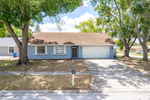 5113 Nashville Dr, TAMPA