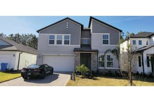 18378 Serene Lake Loop, LUTZ
