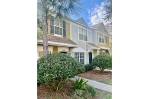 29916 Alta Vita Ln, WESLEY CHAPEL