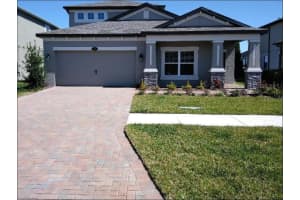 1704 Nature View Dr, LUTZ
