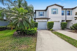 , TAMPA