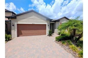 18810 Birchwood Groves Dr, LUTZ