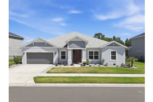 33805 Castaway Loop, WESLEY CHAPEL