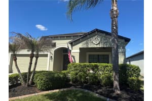 11510 Scarlet Ibis Pl, RIVERVIEW