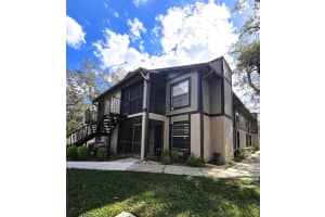 4032 Tumble Wood Trl #103, TAMPA