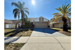 7048 Hollowell Dr, TAMPA
