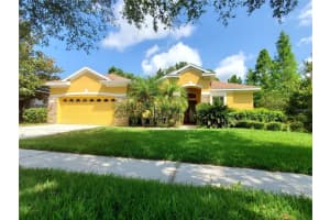 12825 Castlemaine Dr, TAMPA