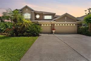 11615 Renaissance View Ct, TAMPA 11615 Renaissance View Ct, TAMPA