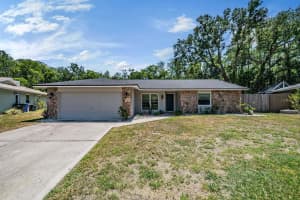 4218 Summerdale Dr, TAMPA