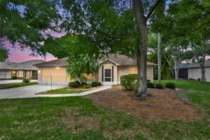 1414 Bluewater Dr, SUN CITY CENTER