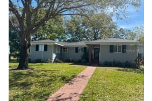 559 Chicago Ave, DUNEDIN